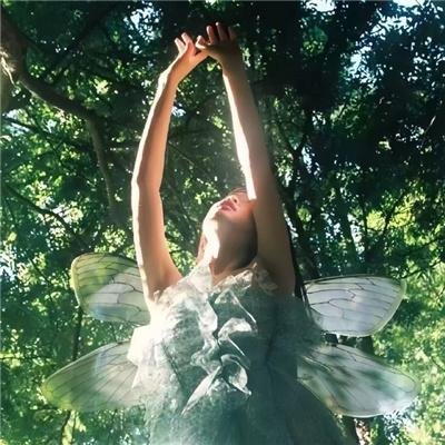 天才少女吊打全球数学大佬